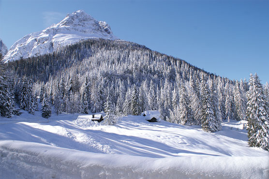 Lorenzago di Cadore (Bl), Passo della Mauria.